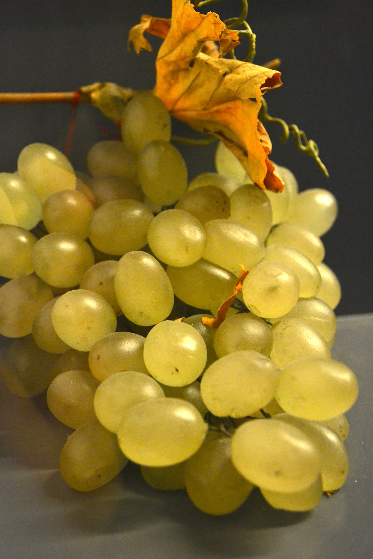 Il Museo della Frutta di Torino Il Museo della Frutta di Torino