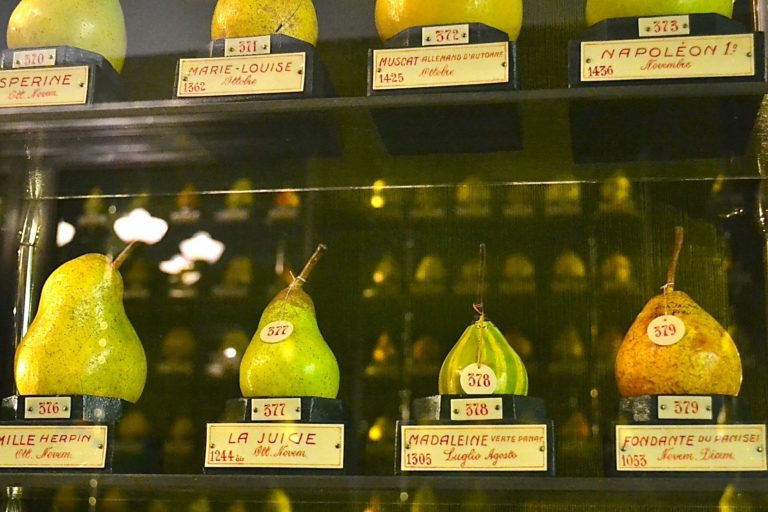 Il Museo della Frutta di Torino Il Museo della Frutta di Torino