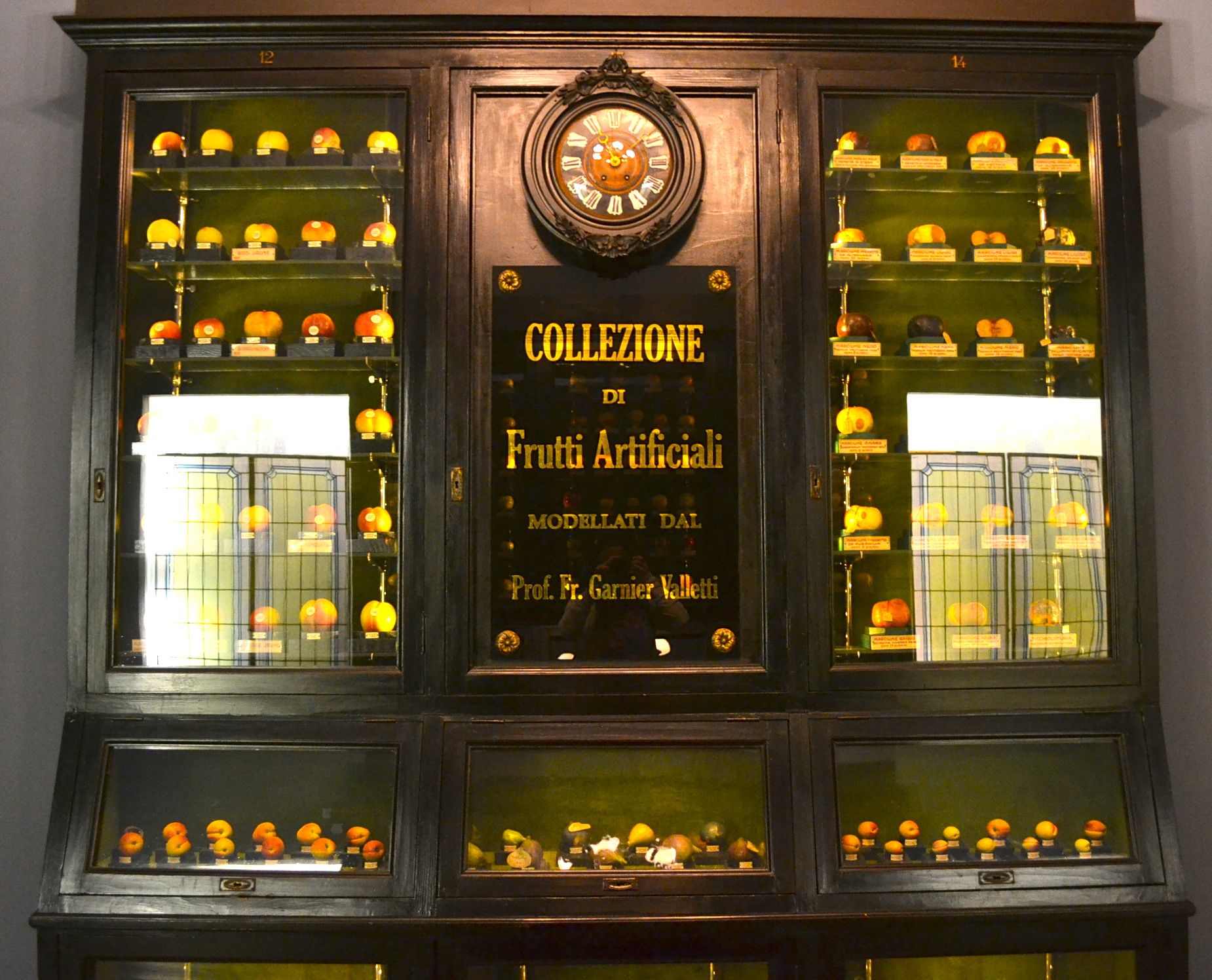 Il Museo della Frutta di Torino Il Museo della Frutta di Torino