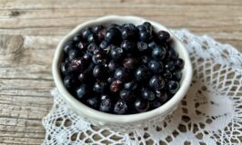 Piccoli Frutti Valdieri