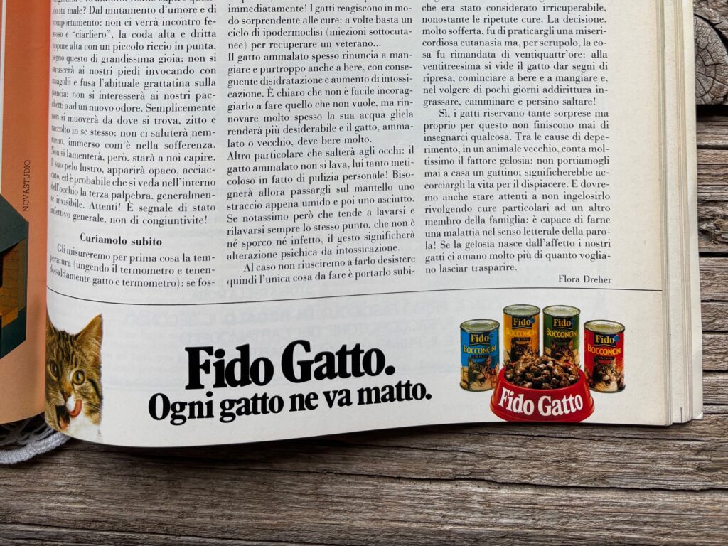Fido Gatto 1982