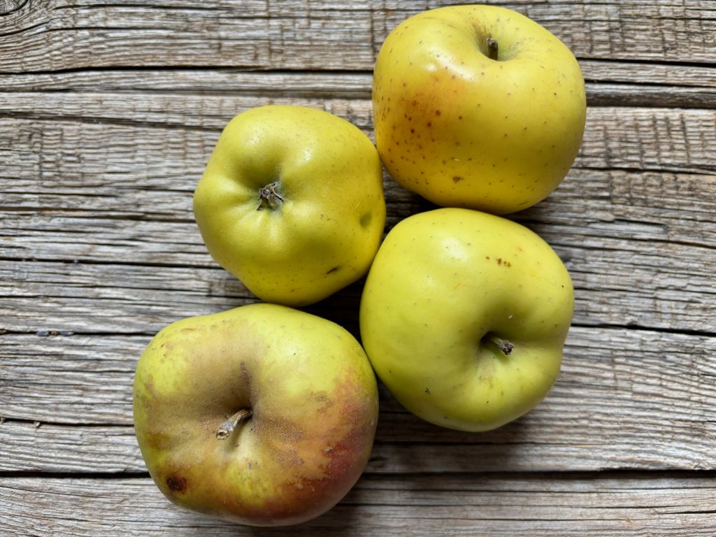 Torta di briciole di melighe