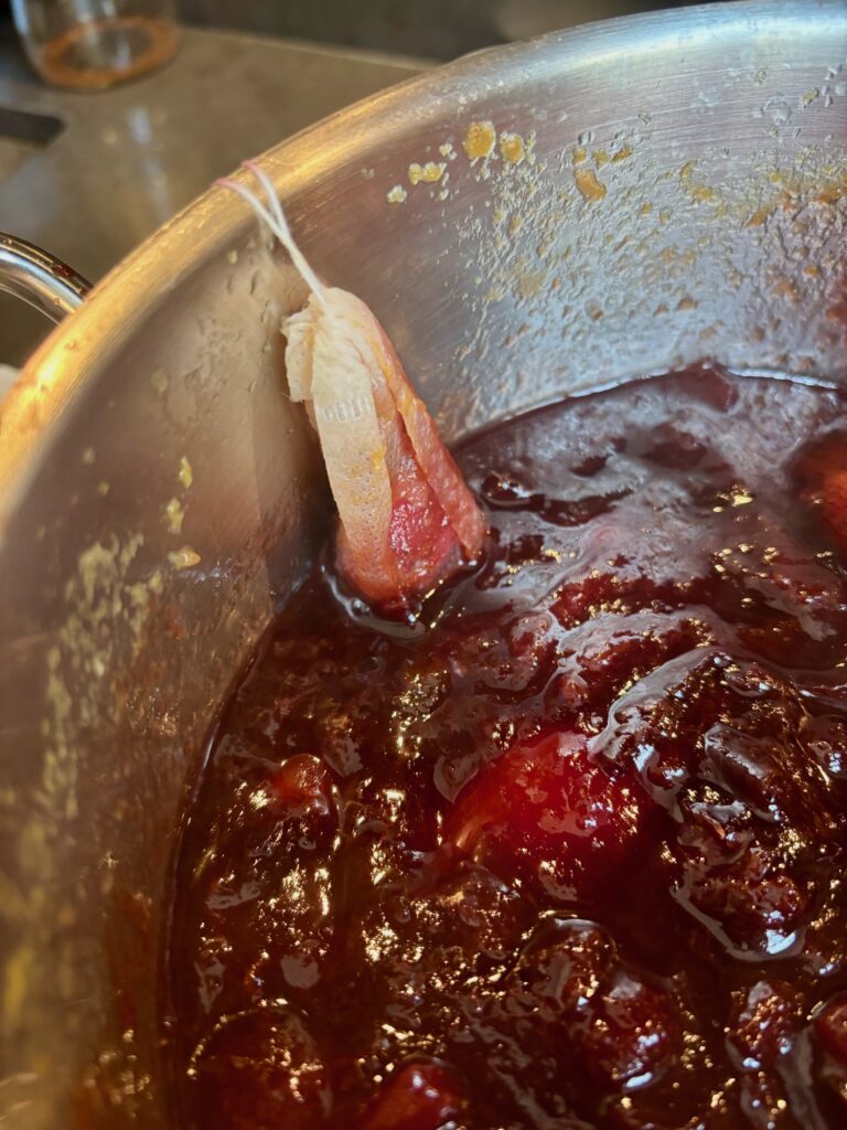 Salsa di prugne