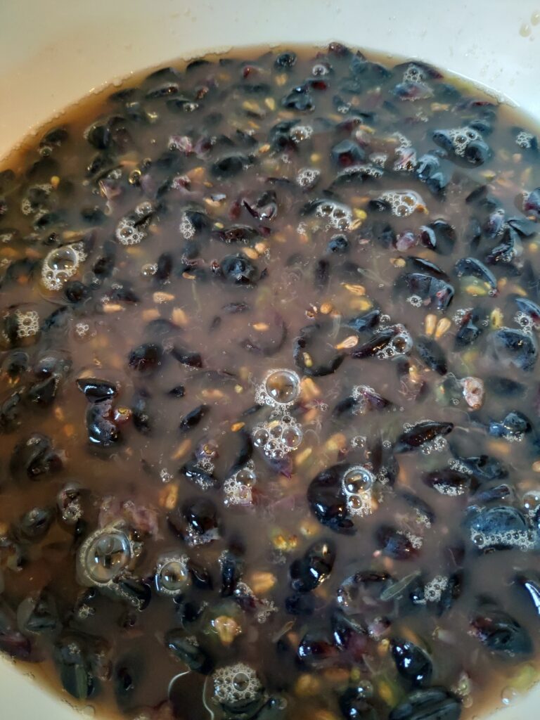 Cognà Mostarda d'uva del basso Piemonte