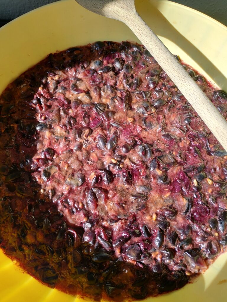 Cognà Mostarda d'uva del basso Piemonte