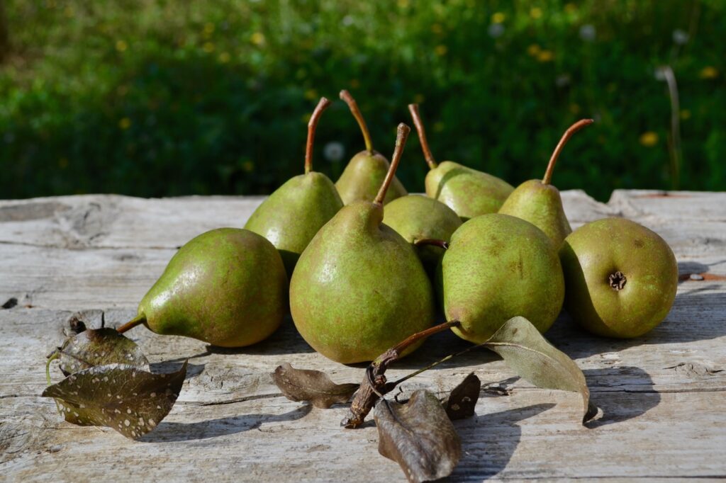 Cognà Mostarda d'uva del basso Piemonte